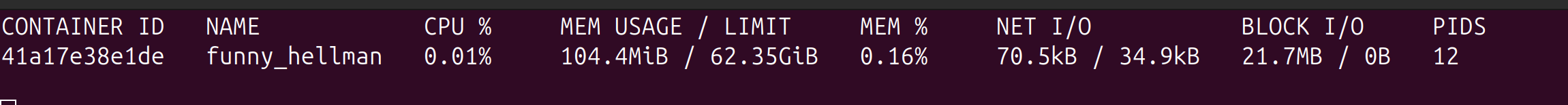 Docker stats 100mb for native wrapped in docker image